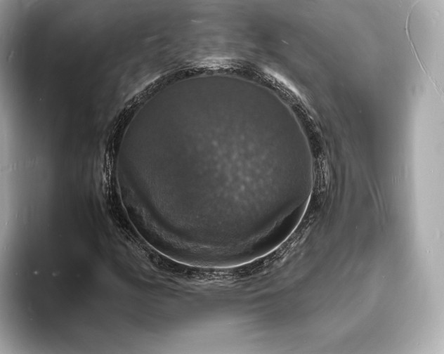 X0000094061158200710261219
