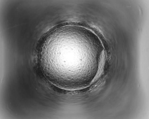 X0000094061159200710261219