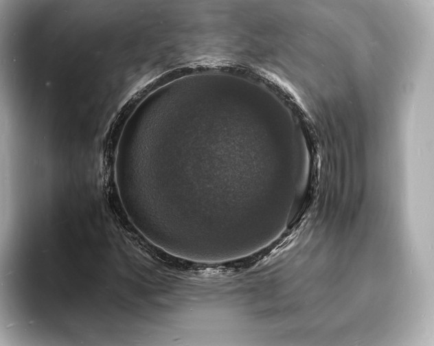 X0000094061160200710261219