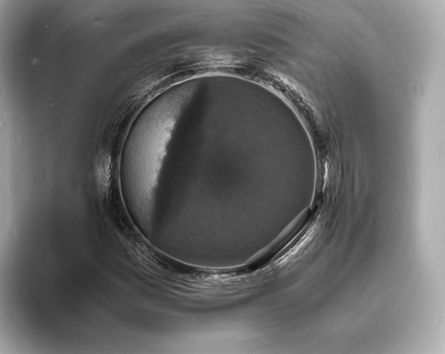 X0000094061161200710261219