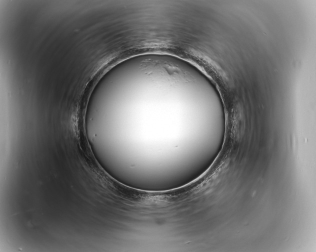 X0000094061162200710261219