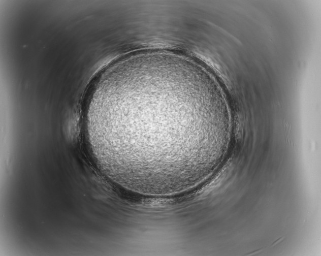 X0000094061163200710261219