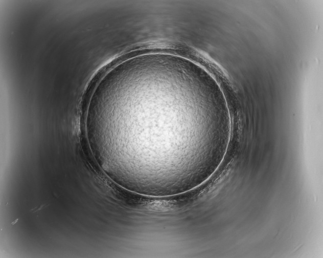 X0000094061166200710261219