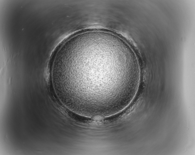 X0000094061167200710261219