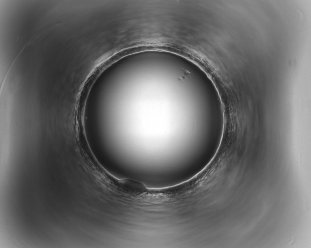X0000094061168200710261219