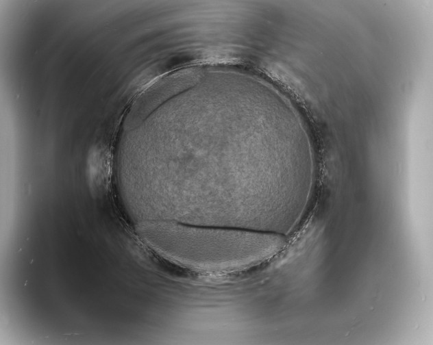 X0000094061169200710261219