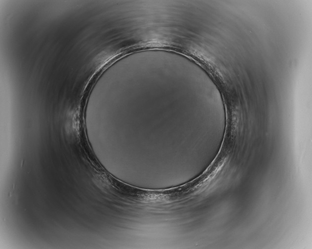 X0000094061170200710261219