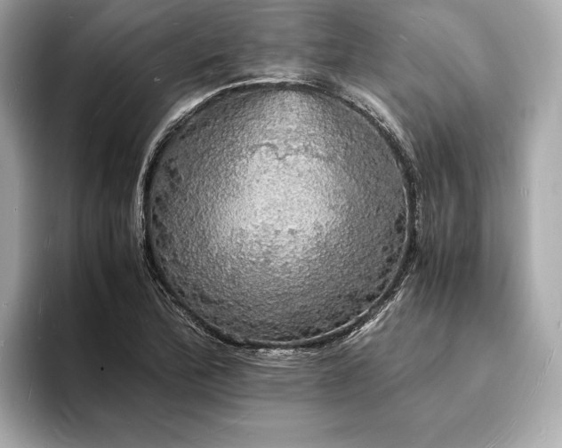 X0000094061172200710261219