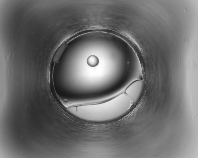 X0000094061173200710261219