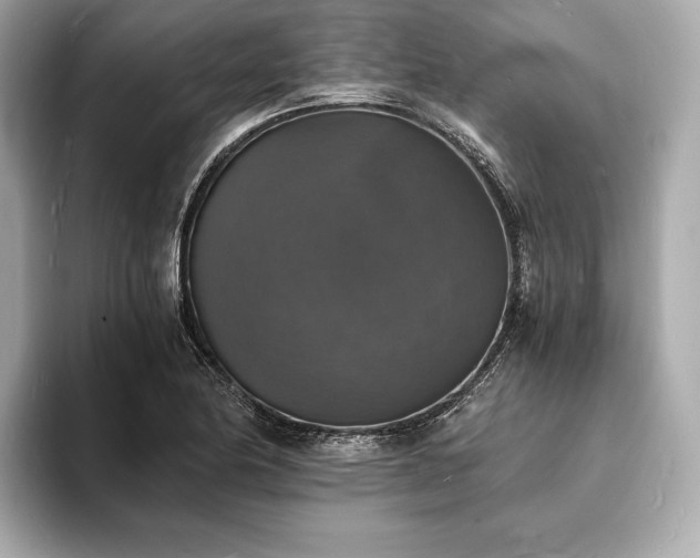 X0000094061174200710261219