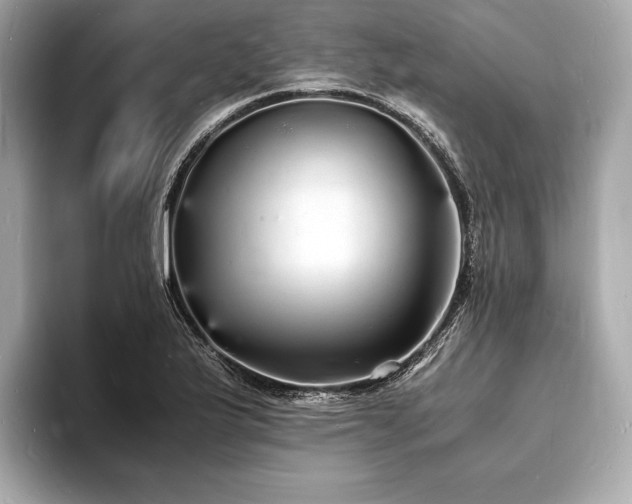 X0000094061175200710261219