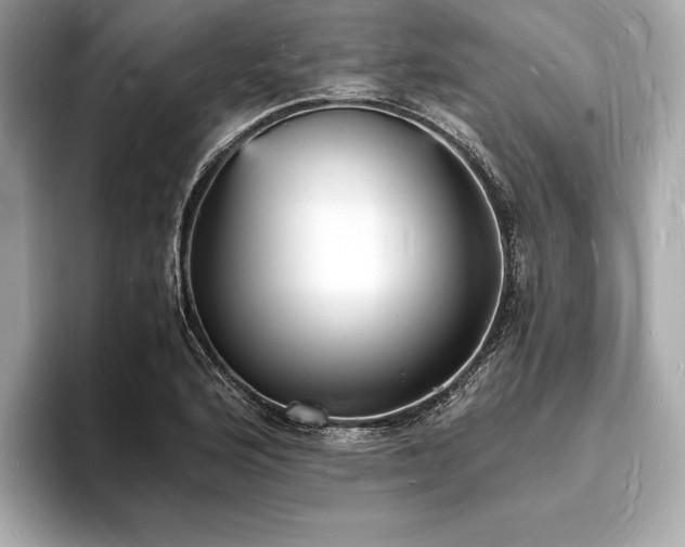 X0000094061176200710261219