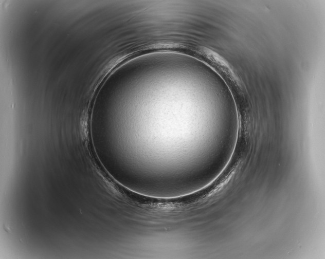 X0000094061177200710261219