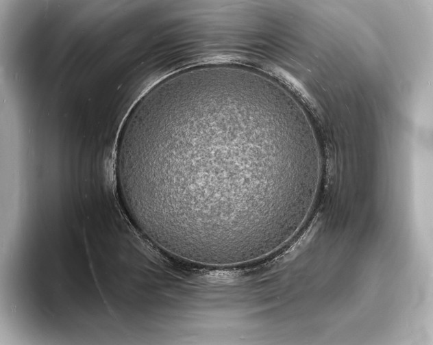 X0000094061178200710261219