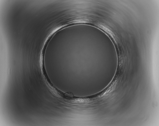 X0000094061179200710261219