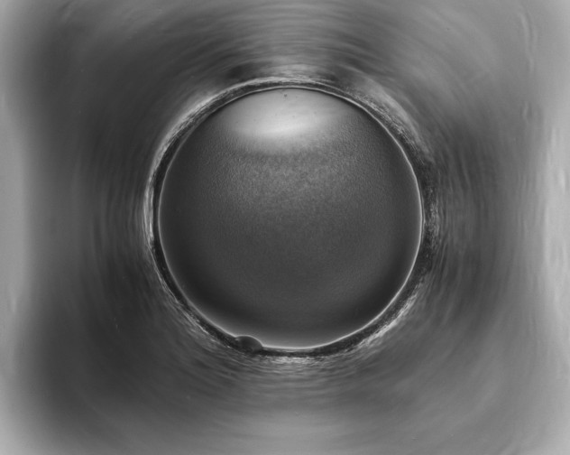 X0000094061180200710261219