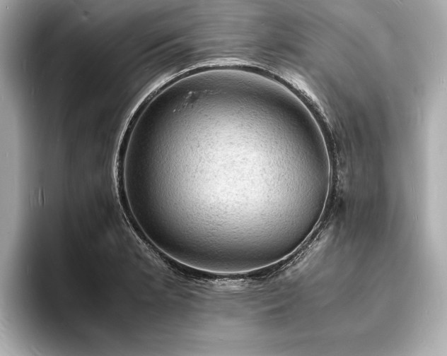 X0000094061181200710261219
