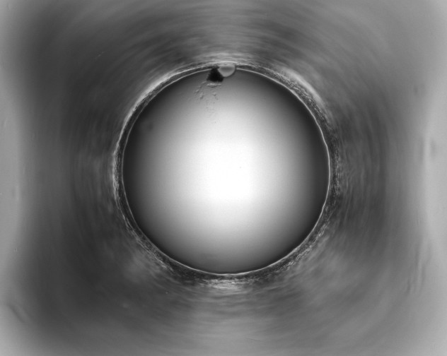 X0000094061182200710261219