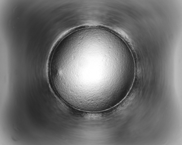 X0000094061183200710261219