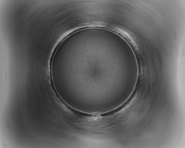 X0000094061184200710261219