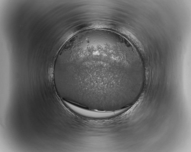 X0000094061185200710261219
