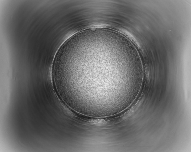 X0000094061186200710261219