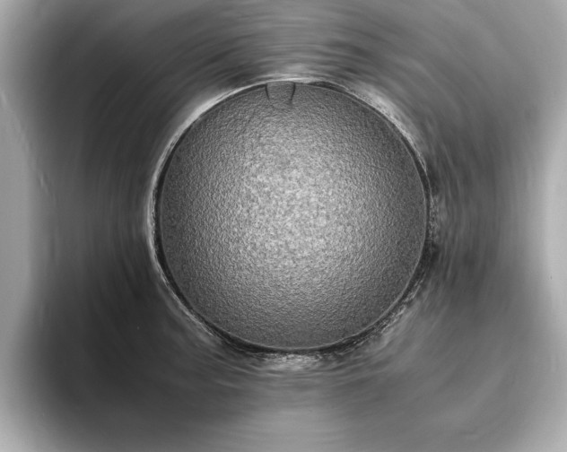 X0000094061187200710261219
