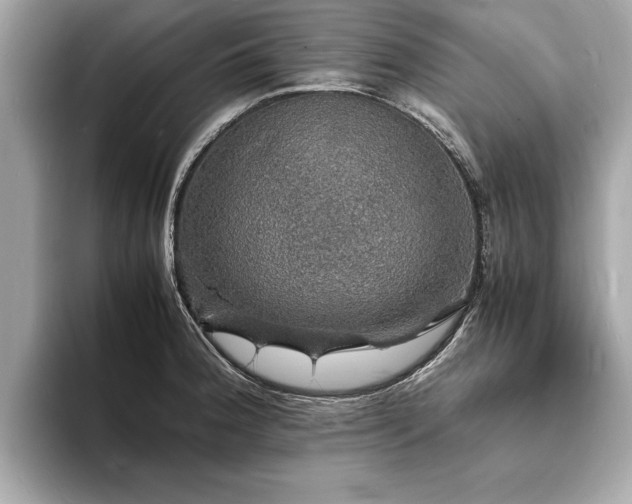 X0000094061188200710261219