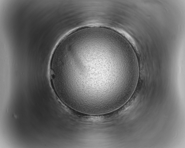 X0000094061191200710261219