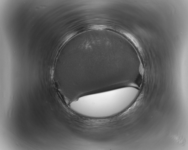 X0000094061193200710261219