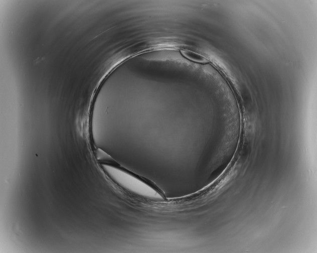 X0000094061194200710261219