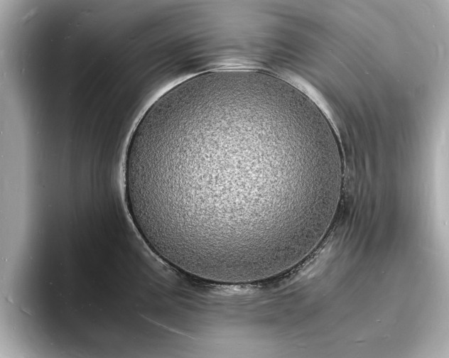 X0000094061195200710261219
