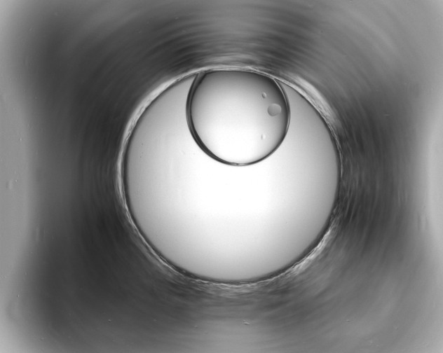 X0000094061196200710261219