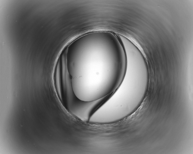 X0000094061197200710261219