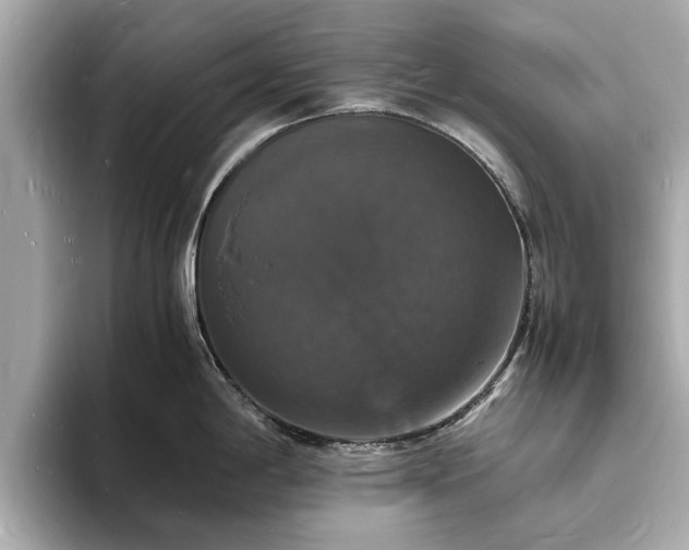 X0000094061198200710261219