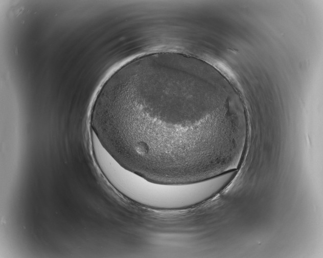 X0000094061200200710261219