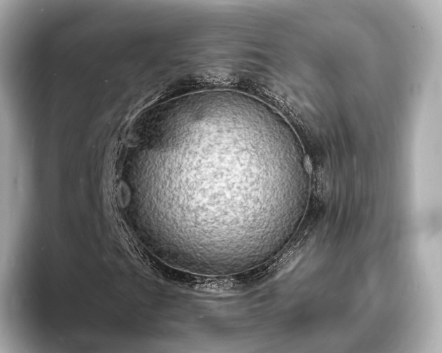 X0000094061201200710261218