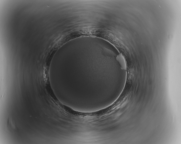 X0000094061202200710261218