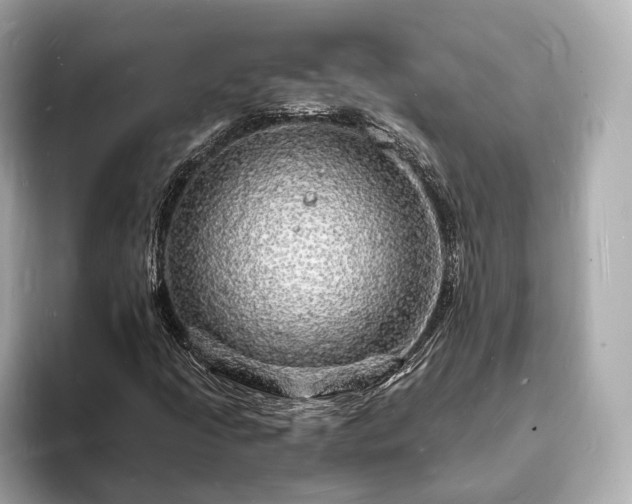 X0000094061205200710261218