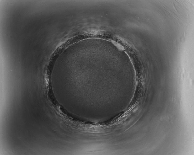 X0000094061206200710261218