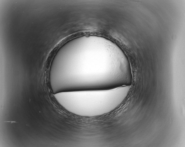 X0000094061208200710261218