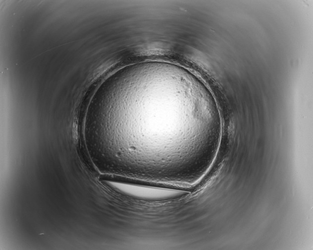 X0000094061209200710261218