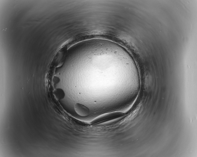 X0000094061210200710261218