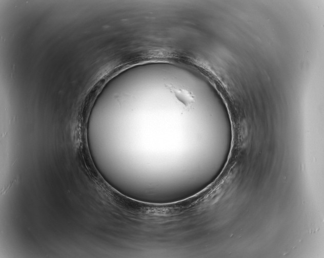 X0000094061211200710261218