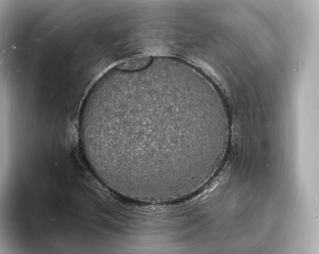 X0000094061212200710261218