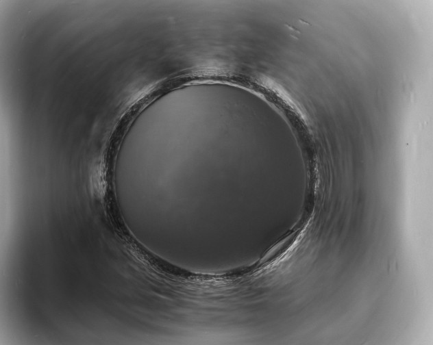 X0000094061213200710261218
