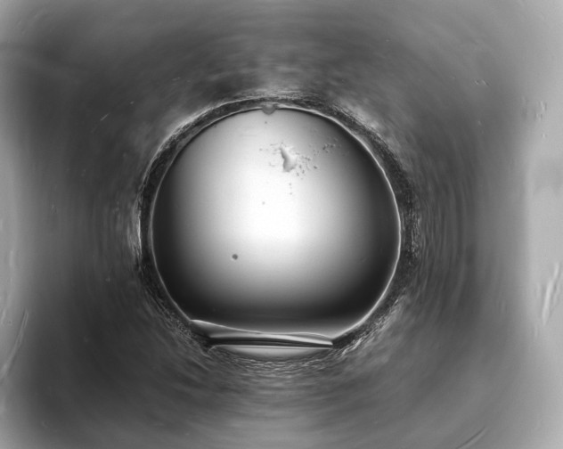X0000094061214200710261218
