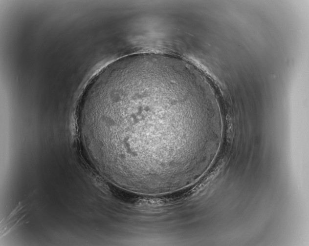 X0000094061215200710261218