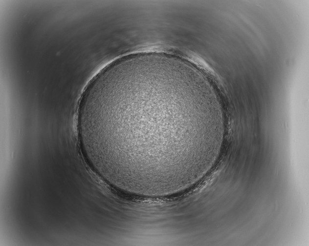 X0000094061216200710261218