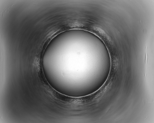 X0000094061217200710261218